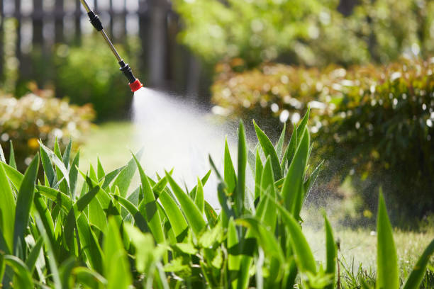 24/7 Emergency Fumigation Services experts in Rutgers University-Busch Campus, NJ