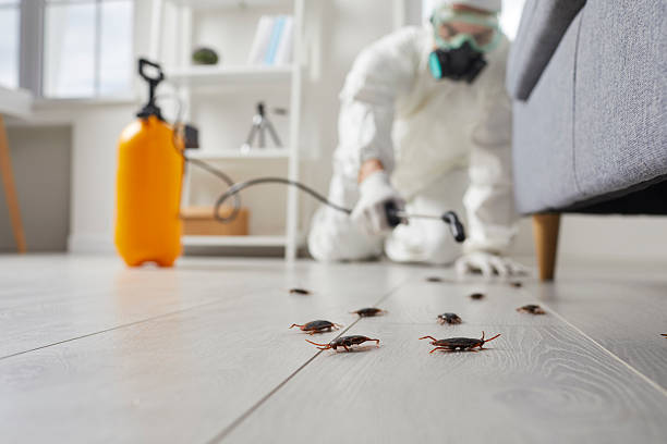 Trusted Fumigation Services service in Rutgers University-Busch Campus, NJ - Nex Pest Control