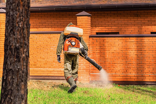 Trusted Cockroach Control service in Rutgers University-Busch Campus, NJ - Nex Pest Control